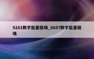 9281 数字能量磁场_8687 数字能量磁场