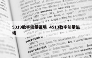 5319 数字能量磁场_4513 数字能量磁场