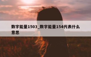 数字能量 1503_数字能量 154 代表什么意思