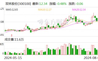 双林股份：2024 年上半年净利润同比增长 282.89%