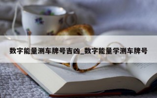 数字能量测车牌号吉凶_数字能量学测车牌号