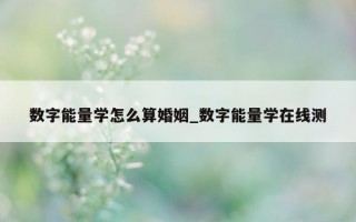 数字能量学怎么算婚姻_数字能量学在线测