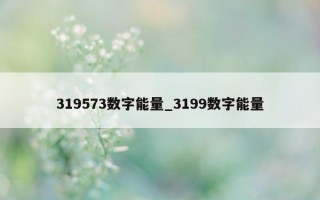 319573 数字能量_3199 数字能量