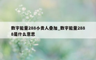 数字能量 288 小贵人叠加_数字能量 2888 是什么意思