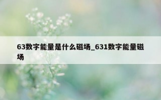 63 数字能量是什么磁场_631 数字能量磁场