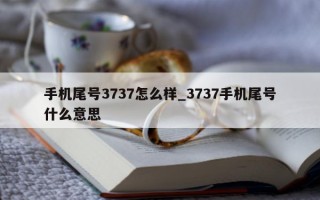 手机尾号 3737 怎么样_3737 手机尾号什么意思