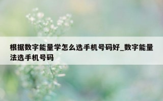 根据数字能量学怎么选手机号码好_数字能量法选手机号码