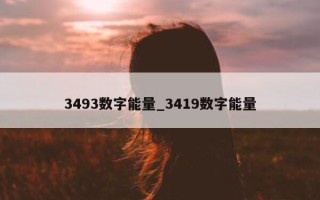 3493 数字能量_3419 数字能量