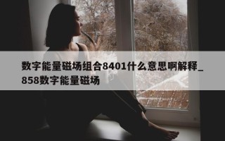 数字能量磁场组合 8401 什么意思啊解释_858 数字能量磁场