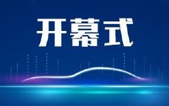 王侠：汽车产业下半场并非收官战，只会打价格战没有未来