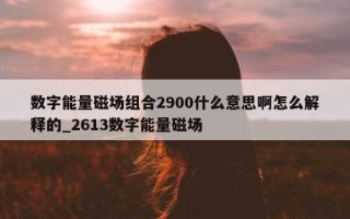 数字能量磁场组合 2900 什么意思啊怎么解释的_2613 数字能量磁场