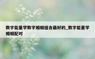 数字能量学数字婚姻组合最好的_数字能量学婚姻配对