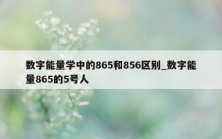 数字能量学中的 865 和 856 区别_数字能量 865 的 5 号人