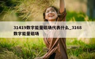 31419 数字能量磁场代表什么_3168 数字能量磁场