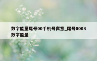 数字能量尾号 00 手机号寓意_尾号 0003 数字能量