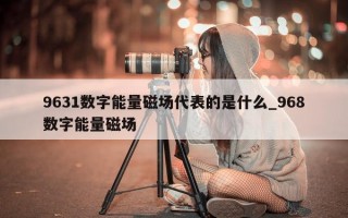 9631 数字能量磁场代表的是什么_968 数字能量磁场