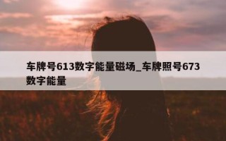 车牌号 613 数字能量磁场_车牌照号 673 数字能量