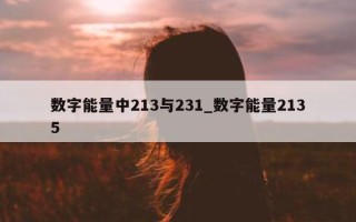 数字能量中 213 与 231_数字能量 2135