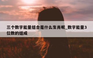 三个数字能量组合是什么生肖呢_数字能量 3 位数的组成