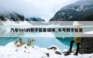 汽车 505 的数字能量磁场_车号数字能量