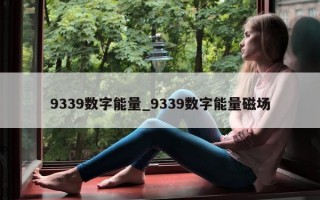 9339 数字能量_9339 数字能量磁场