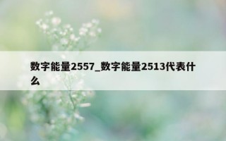 数字能量 2557_数字能量 2513 代表什么