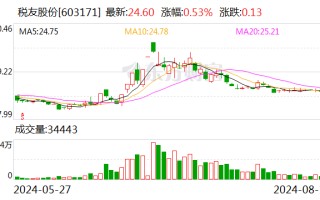 税友股份：2024 年上半年净利润同比增长 0.86%