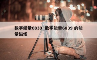 数字能量 6839_数字能量 6839 的能量磁场