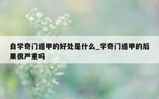 自学奇门遁甲的好处是什么_学奇门遁甲的后果很严重吗