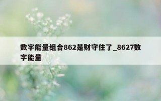 数字能量组合 862 是财守住了_8627 数字能量