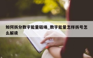 如何拆分数字能量磁场_数字能量怎样拆号怎么解读