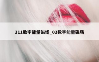 211 数字能量磁场_02 数字能量磁场