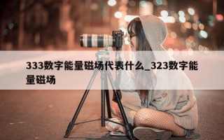 333 数字能量磁场代表什么_323 数字能量磁场