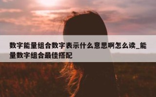 数字能量组合数字表示什么意思啊怎么读_能量数字组合最佳搭配