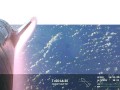 “星舰”第三次发射验证多项关键技术，SpaceX：为开发星际飞船提供宝贵数据