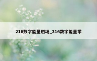 216 数字能量磁场_216 数字能量学