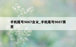 手机尾号 9867 含义_手机尾号 9687 寓意