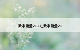 数字能量 2111_数字能量 21