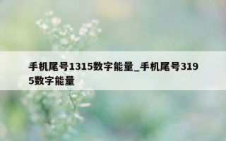 手机尾号 1315 数字能量_手机尾号 3195 数字能量