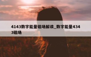 4143 数字能量磁场解读_数字能量 4343 磁场