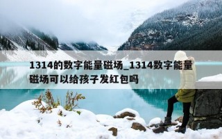 1314 的数字能量磁场_1314 数字能量磁场可以给孩子发红包吗