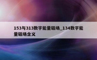 153 与 313 数字能量磁场_134 数字能量磁场含义