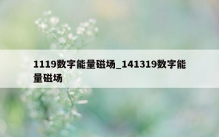 1119 数字能量磁场_141319 数字能量磁场