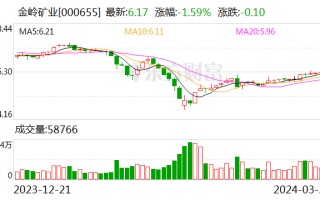 金岭矿业：子公司金召矿业生产过程中发生事故 目前已停工停产