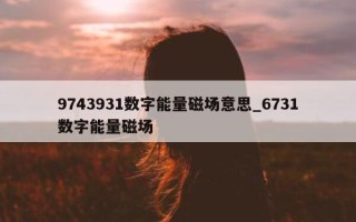 9743931 数字能量磁场意思_6731 数字能量磁场