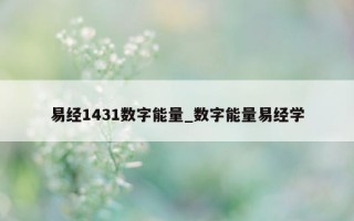 易经 1431 数字能量_数字能量易经学