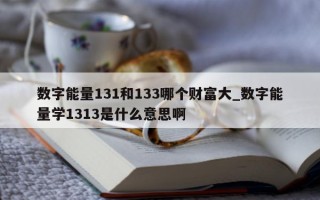 数字能量 131 和 133 哪个财富大_数字能量学 1313 是什么意思啊