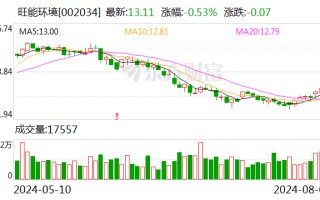 旺能环境：累计回购股份 28.98 万股