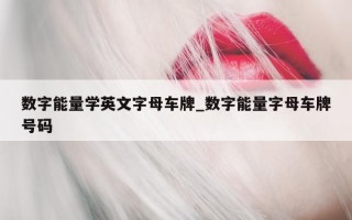 数字能量学英文字母车牌_数字能量字母车牌号码