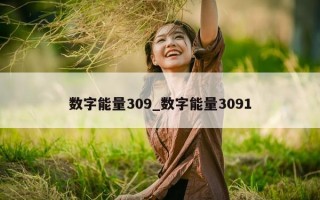 数字能量 309_数字能量 3091